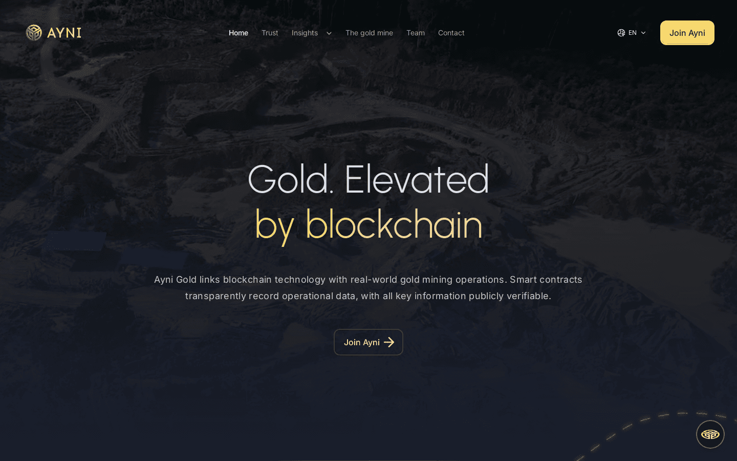 Ayni Gold platform screenshot